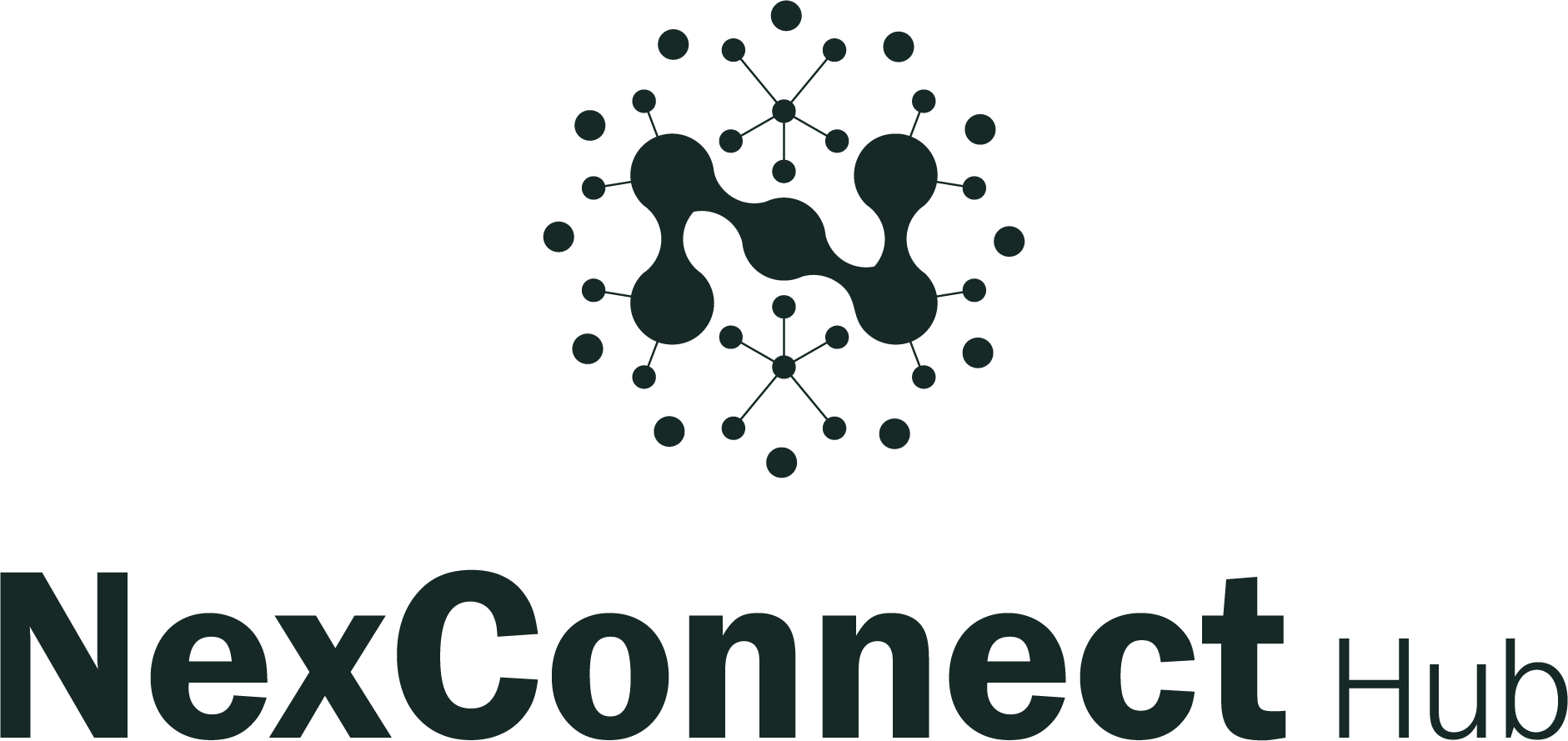 NexConnect Hub Logo